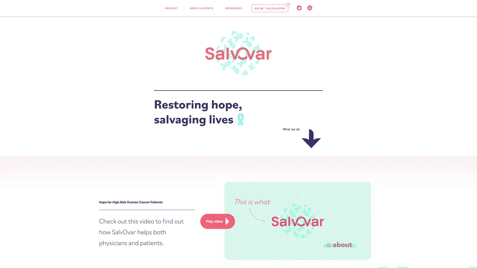 SalvOvar – visuel 4